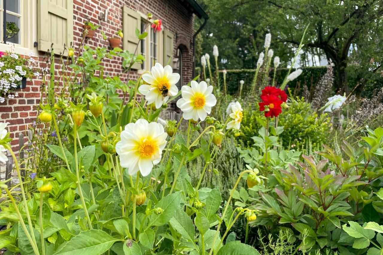 B&B De Paenhoeve Eksel 外观 照片